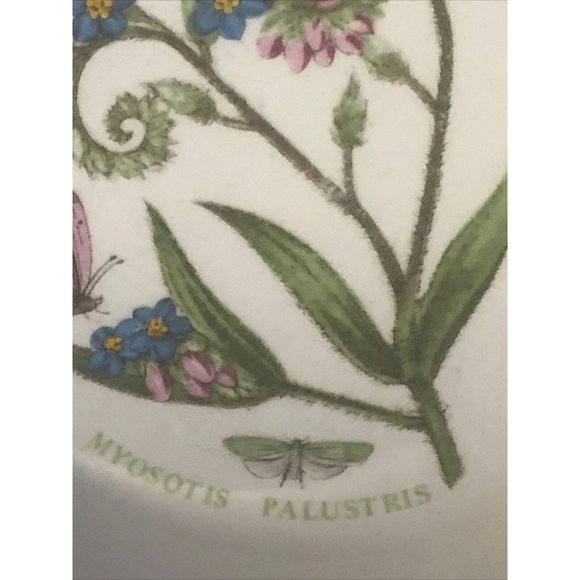 Portmeirion Botanic Garden Forget Me Not Rim Cereal Oatmeal Bowl Made In England - Picture 11 of 12